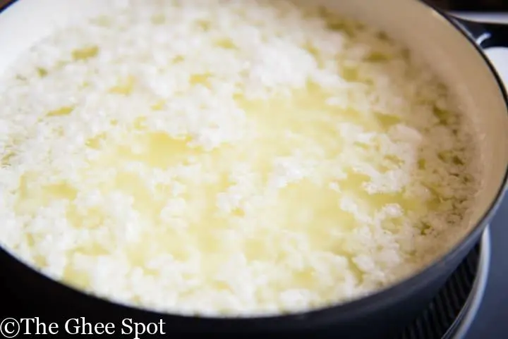 Paneer
