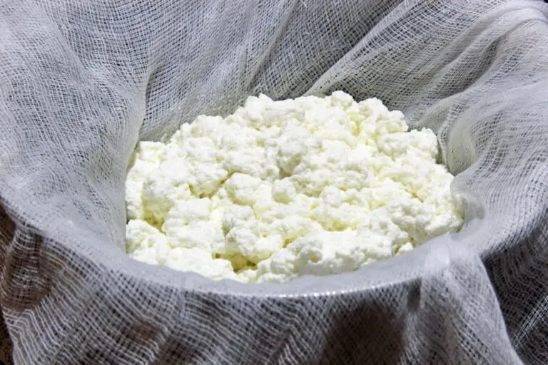 Paneer Paneer Curds