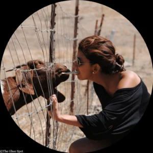 Priya and the Goat