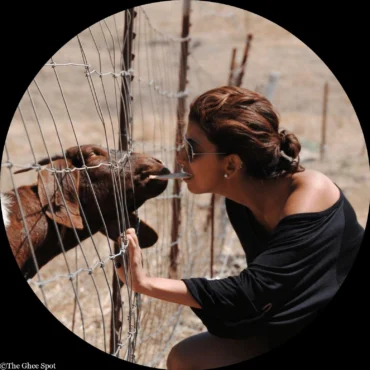 Priya and the Goat